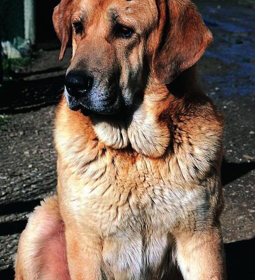 발코니 디럭스 룸, Posada La Trebede