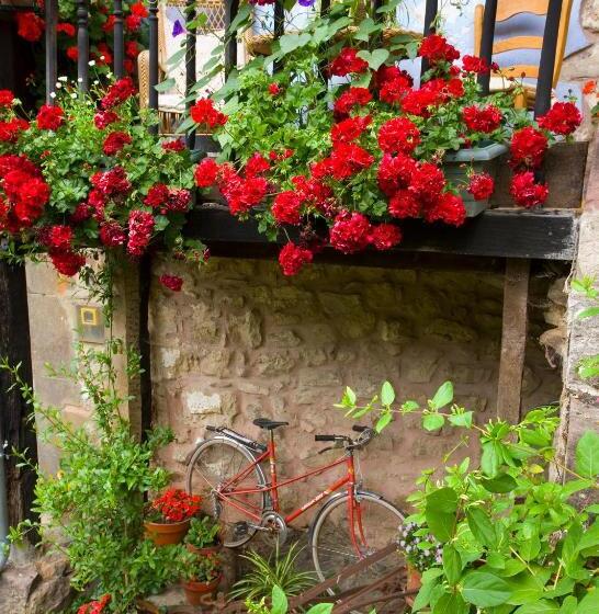 디럭스 룸, Posada La Trebede