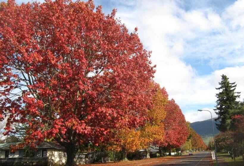 חדר סטודיו סטנדרד, Tongariro River Motel