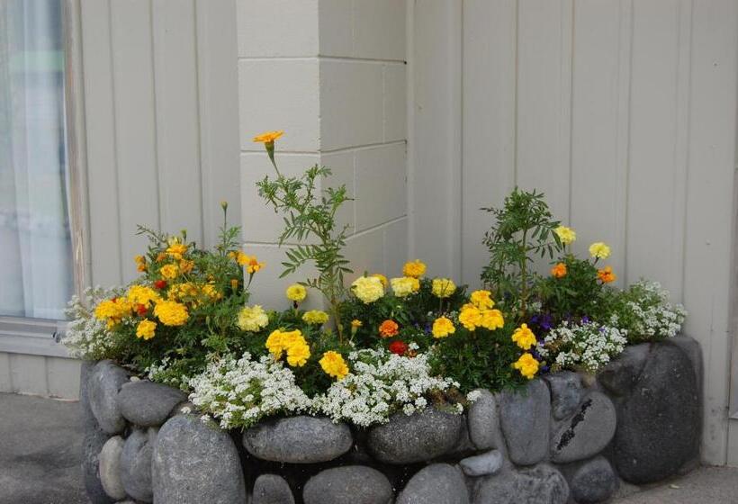 חדר סטודיו סטנדרד, Tongariro River Motel