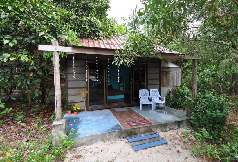 بنجلو قياسى مطل على البحر, Phayam Friends