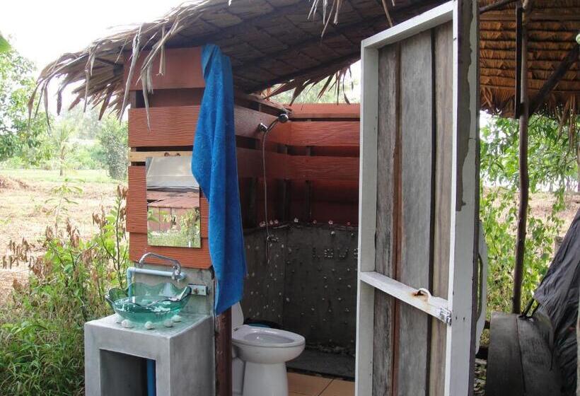 بنجلو قياسى, Phayam Friends