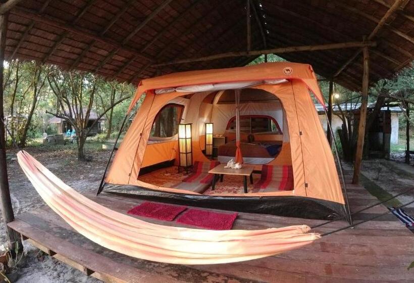 بنجلو قياسى, Phayam Friends