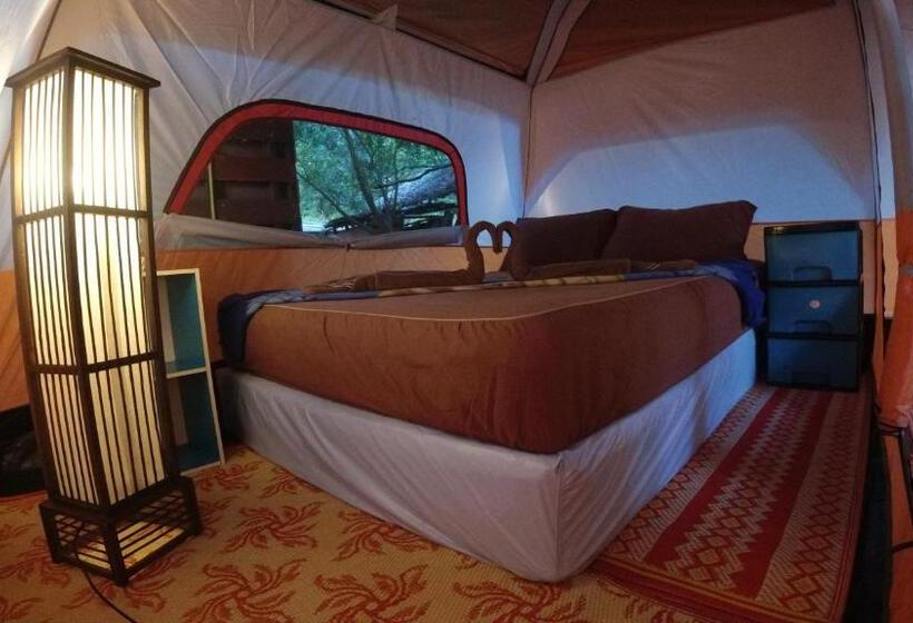 بنجلو قياسى, Phayam Friends