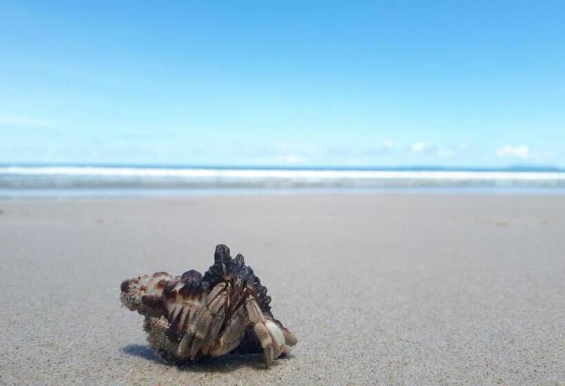 غرفة عائلية مطلّة علي البحر, Phayam Friends