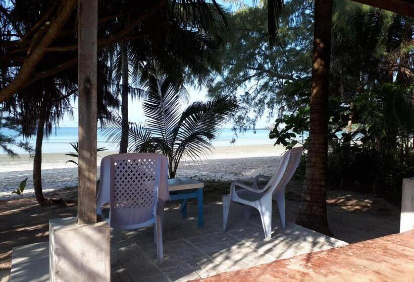 بنجلو قياسى, Phayam Friends