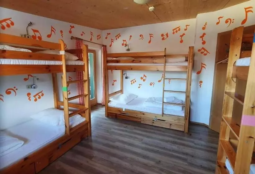 コンフォートルーム, Alpking Hostel