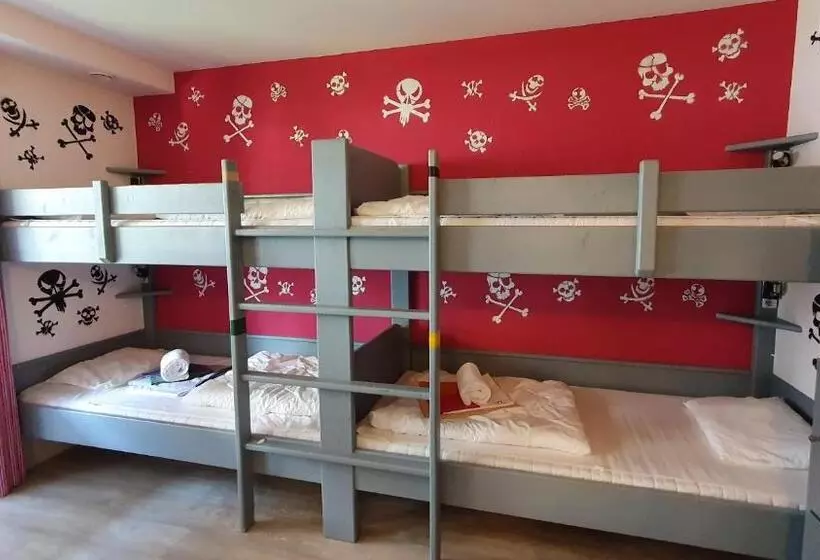 ルームシェアのワンベッド, Alpking Hostel