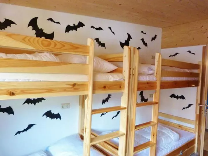 ルームシェアのワンベッド, Alpking Hostel