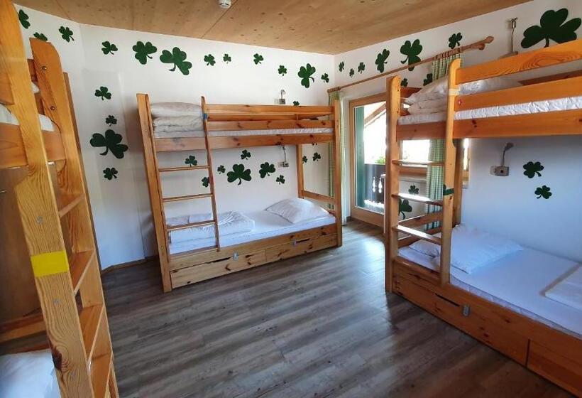 Кровать в Общей Комнате, Alpking Hostel