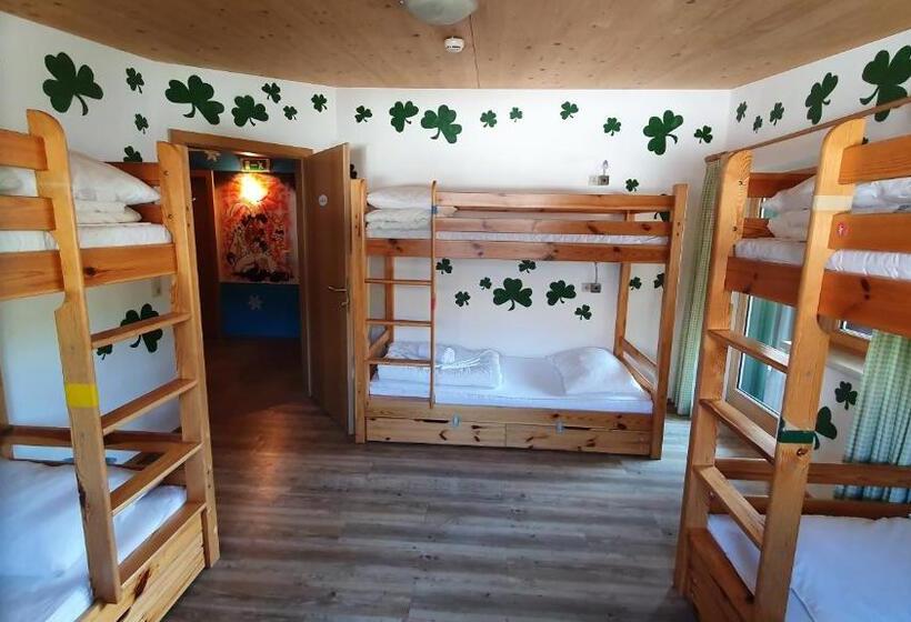 Кровать в Общей Комнате, Alpking Hostel