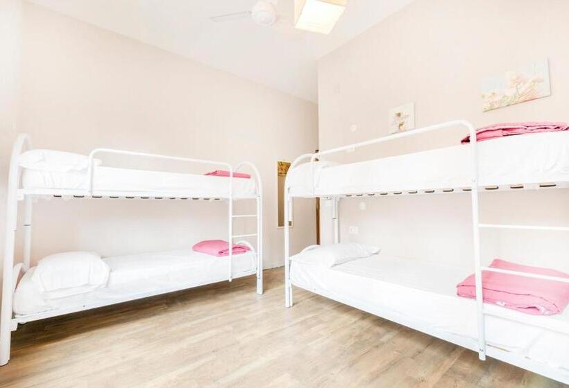 חדר סטנדרט לארבעה, Ostello Le Sirene