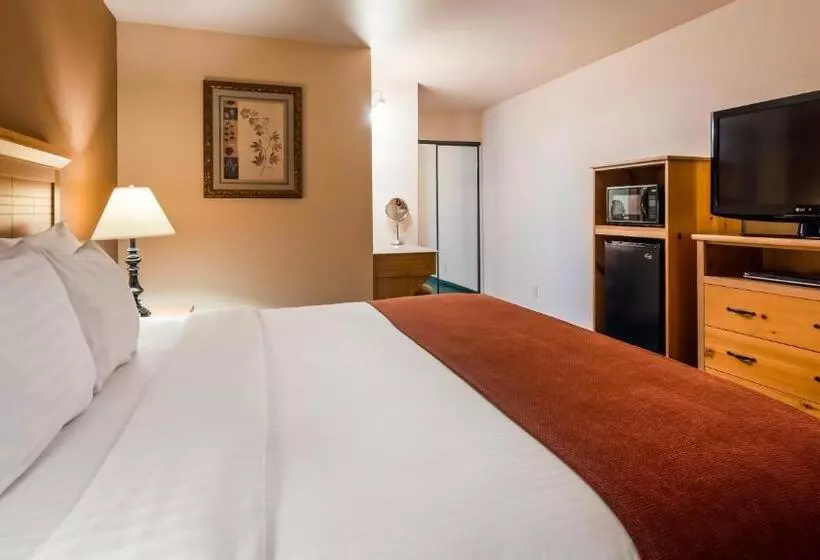 身障者適用クイーンサイズベッドルーム, Best Western Plus Hartford Lodge