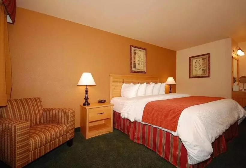 身障者適用クイーンサイズベッドルーム, Best Western Plus Hartford Lodge