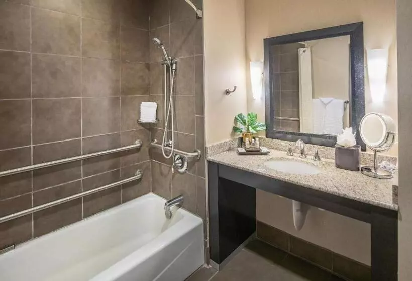 身障者適用キングサイズベッドルーム, Best Western Premier Bryan College Station