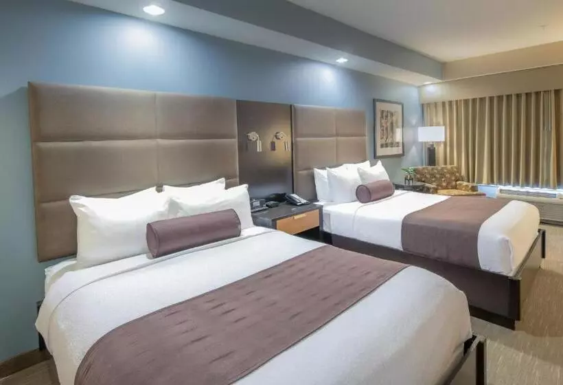 身障者適用スタンダードルーム, Best Western Premier Bryan College Station