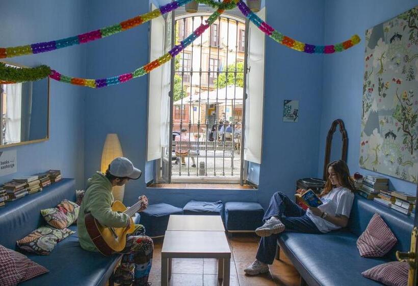 공동 객실, Onefam Centro