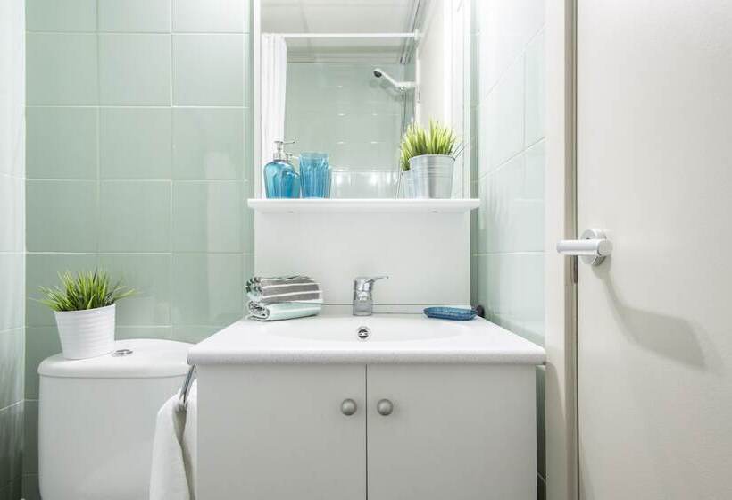 ベーシックルーム, Residencia Universitaria Blas De Otero