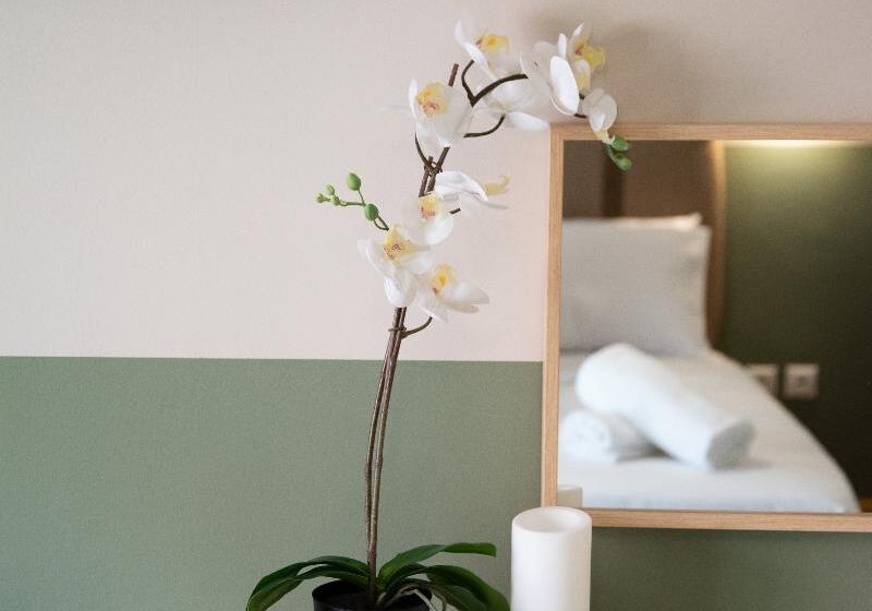 تختخواب در اتاق مشترک, Rivoli Cinema Hostel