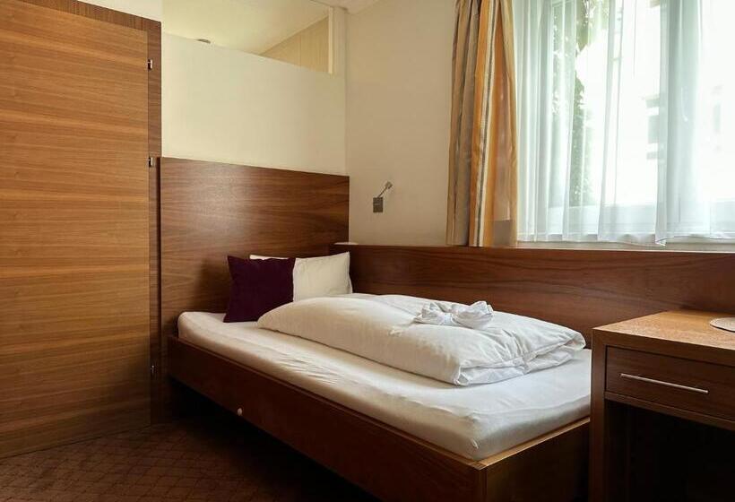 스탠다드 싱글 룸, Das Zellersee