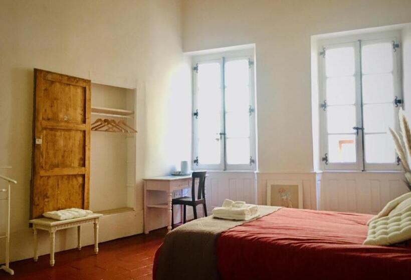 Номер Стандарт, Bauhaus Saint Pierre