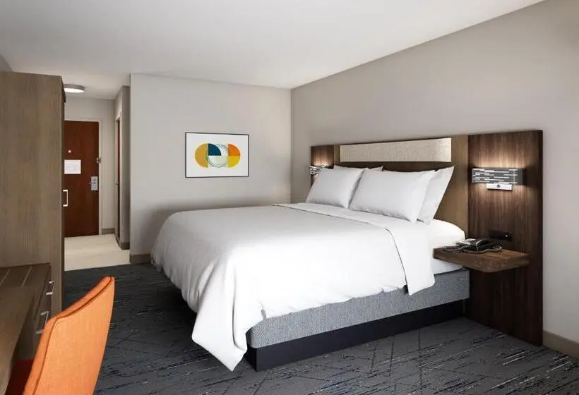 キングサイズベッドのスタンダードルーム, Holiday Inn Express Gaffney, An Ihg