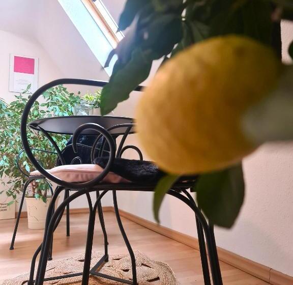 スタンダードルーム, Gästehaus Zum Weinbauer