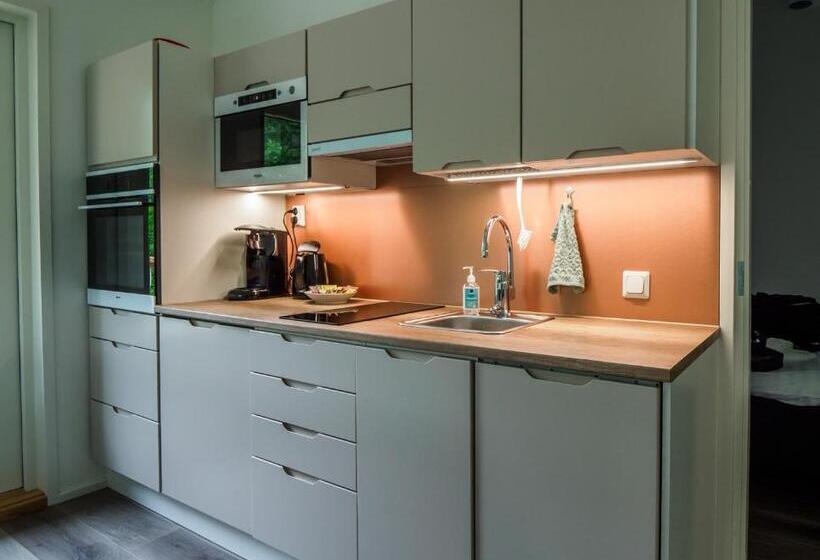 Люкс 2 Спальни, Polku Hotelli