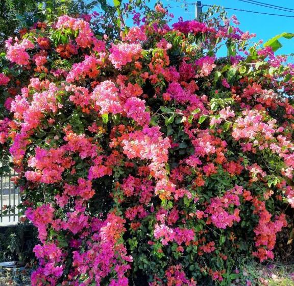 خانه 4 خوابه, Gîte Le Calou Pilon