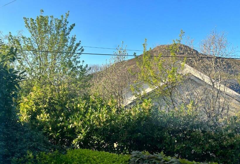 标准间, Woodbriar