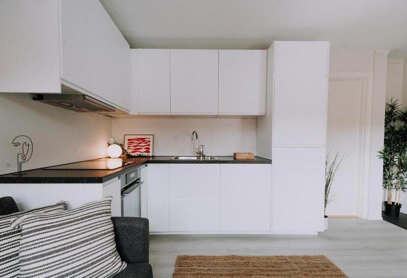 דירה בת חדר שינה 1 עם מרפסת, Bergen Beds   Serviced Apartments In The City Center