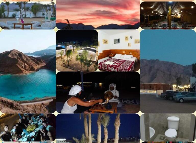 اتاق استاندارد سه نفره, Oasis Resort