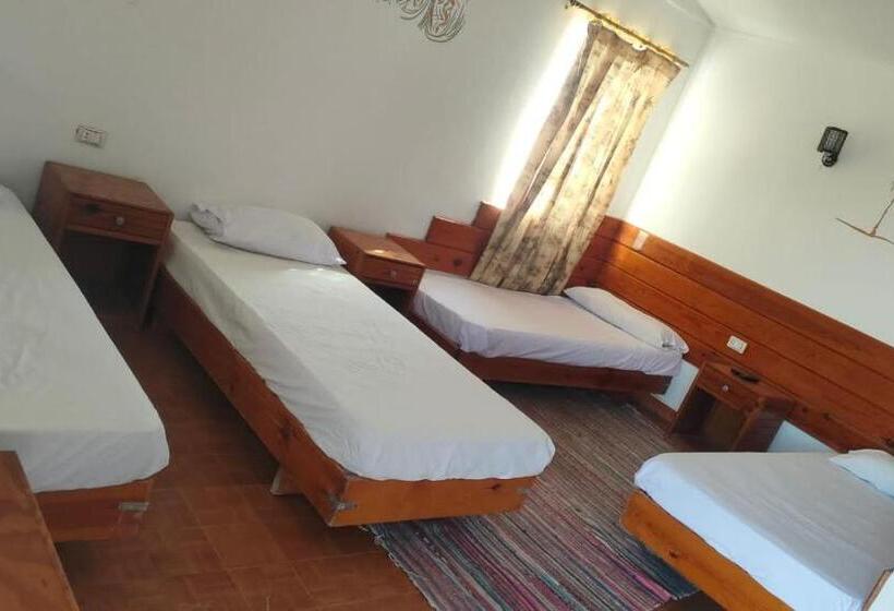 اتاق استاندارد چهار تخته, Oasis Resort