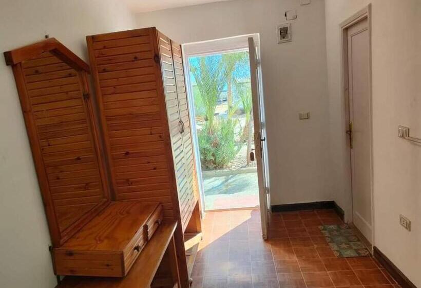 اتاق استاندارد چهار تخته, Oasis Resort