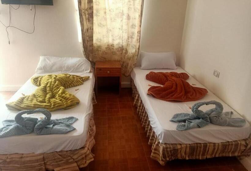 اتاق استاندارد چهار تخته, Oasis Resort