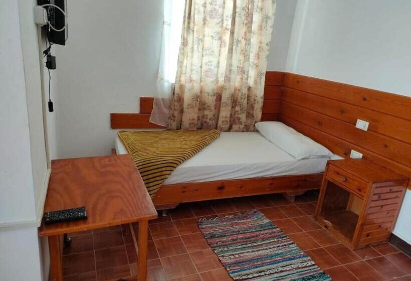 اتاق استاندارد یک نفره, Oasis Resort