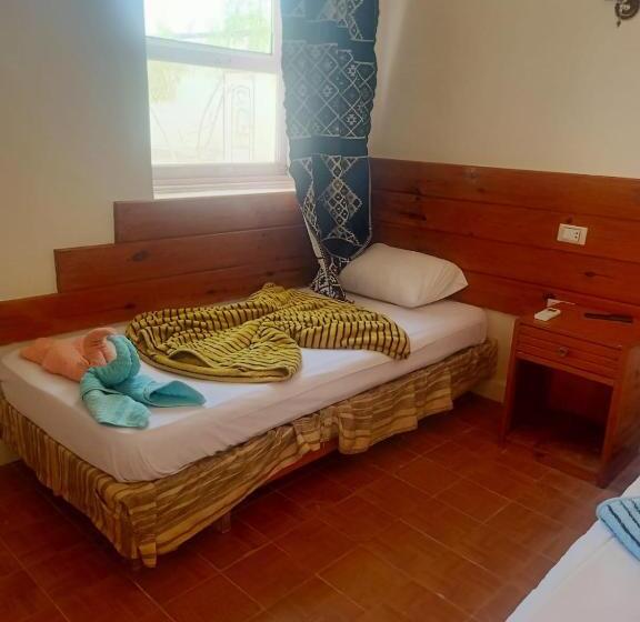 اتاق استاندارد یک نفره, Oasis Resort