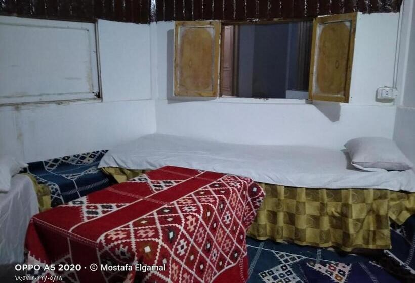 بانگلوی استاندارد, Oasis Resort