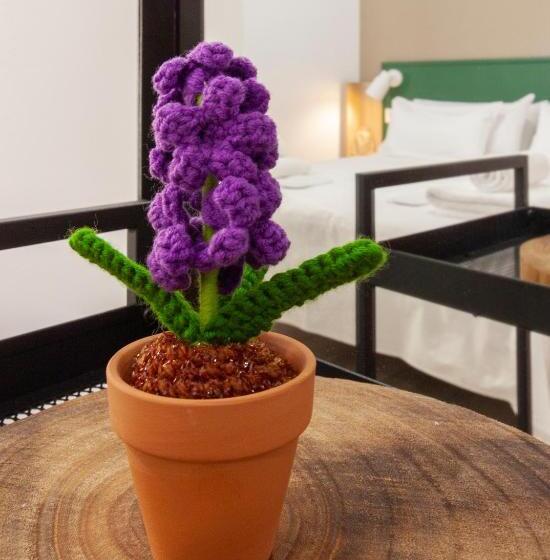 Номер Стандарт, Hostal Casa De Luna Y Sol