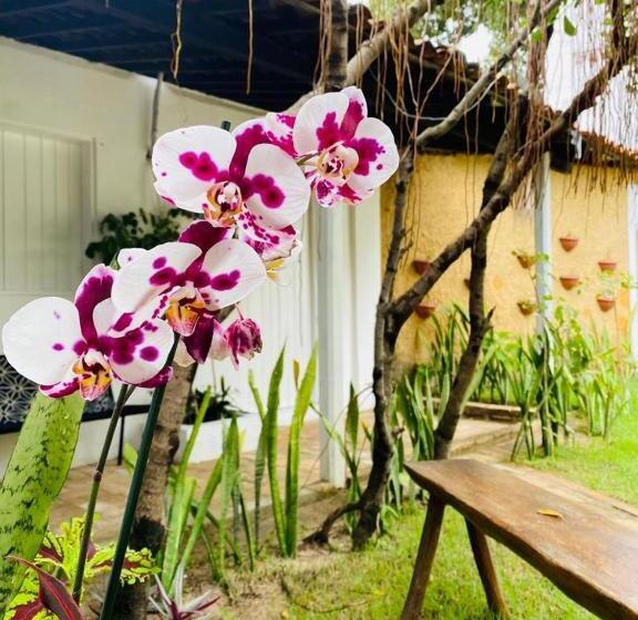 جناح مطلّ علي الحديقة, Pousada Alumiar