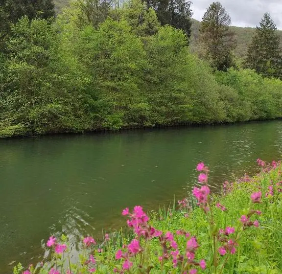 スタンダードルーム, Entre Meuse Et Forêt
