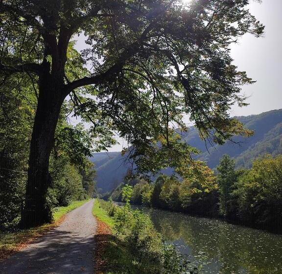 スタンダードルーム, Entre Meuse Et Forêt