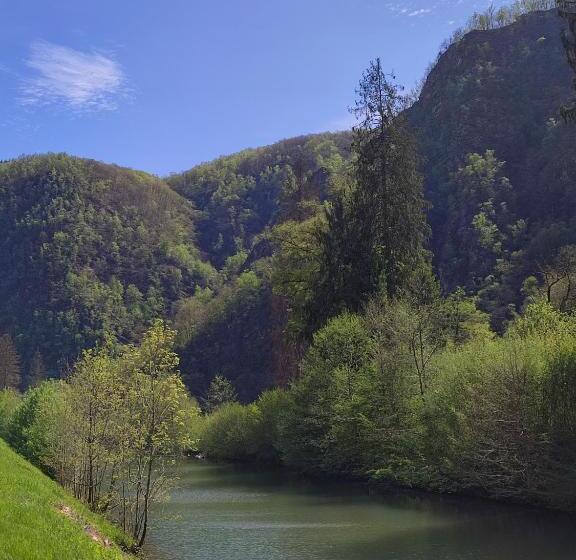 スタンダードルーム, Entre Meuse Et Forêt