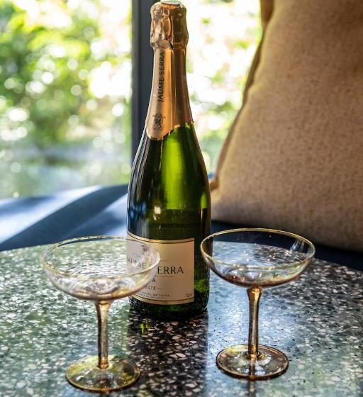 חדר דלוקס, Luxurious Residence In Vondelpark/museum District