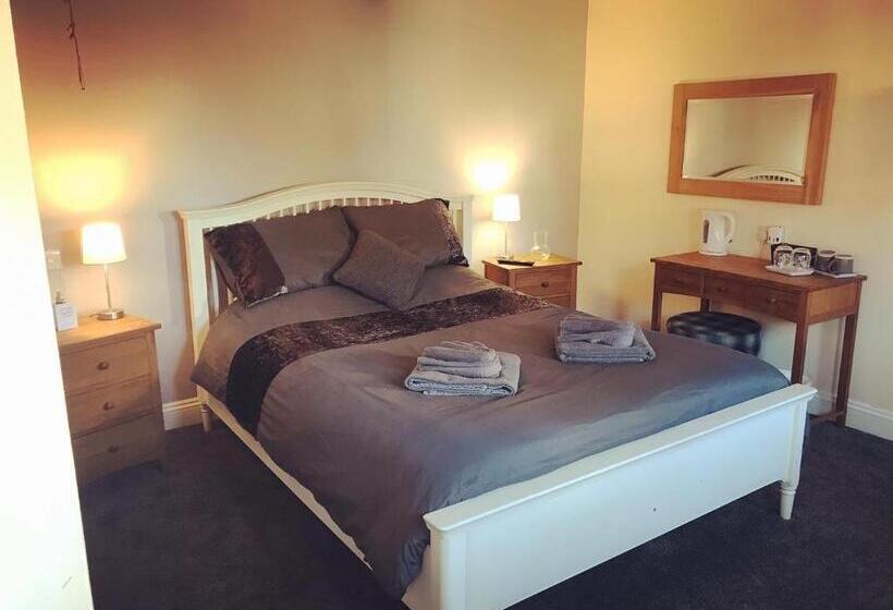 适合残疾人士使用的带超级大床的标准间, The Swan Inn Newport