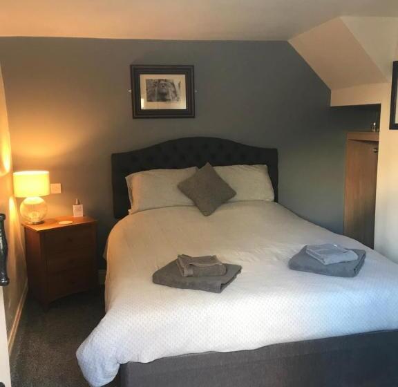 غرفة قياسية, The Swan Inn Newport