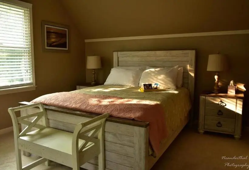 スタンダードルーム, The Yellow Rose Of Talbot Bed And Breakfast