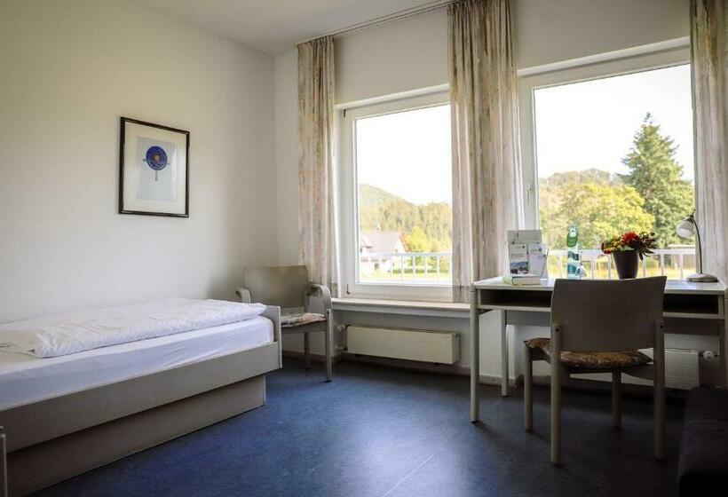 اتاق استاندارد یک نفره, St. Bonifatius