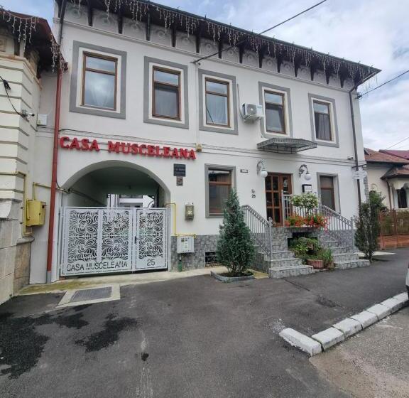 キングサイズベッドのスーペリアルーム, Casa Musceleana