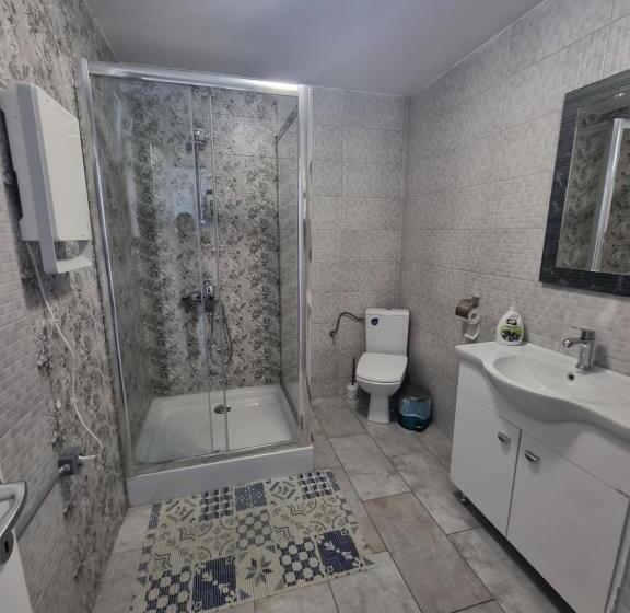 ２ベッドルームアパートメント, Casa Musceleana